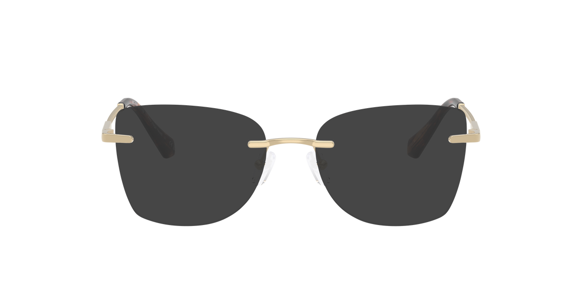 Michael Kors MK3099 NAGS HEAD 1014