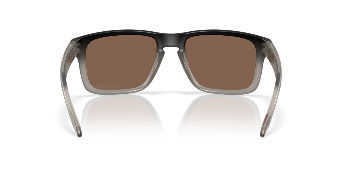 Oakley Holbrook OO9102 9102AH