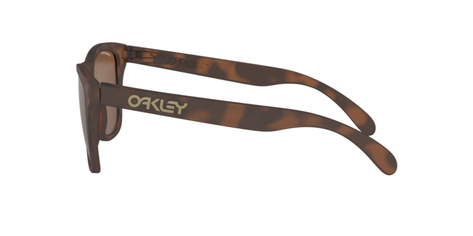 Oakley Frogskins OO9013 9013C5