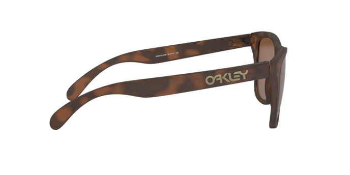 Oakley Frogskins OO9013 9013C5
