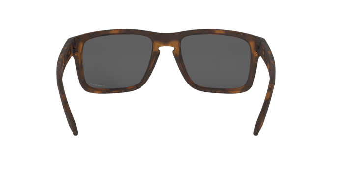 Oakley Holbrook OO9102 9102F4