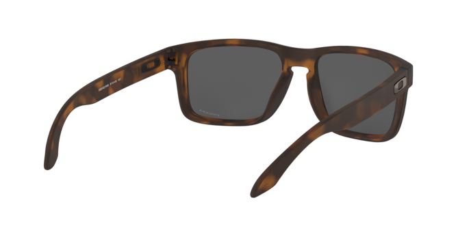 Oakley Holbrook OO9102 9102F4