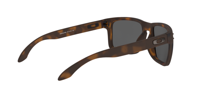 Oakley Holbrook OO9102 9102F4