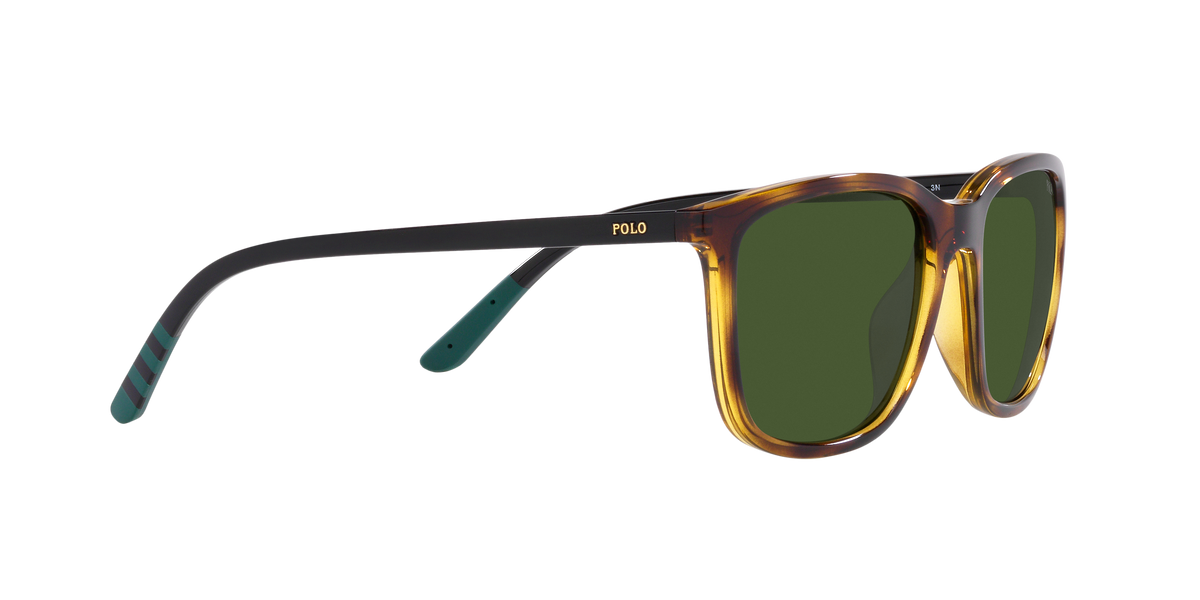 Polo PH4185U 500371