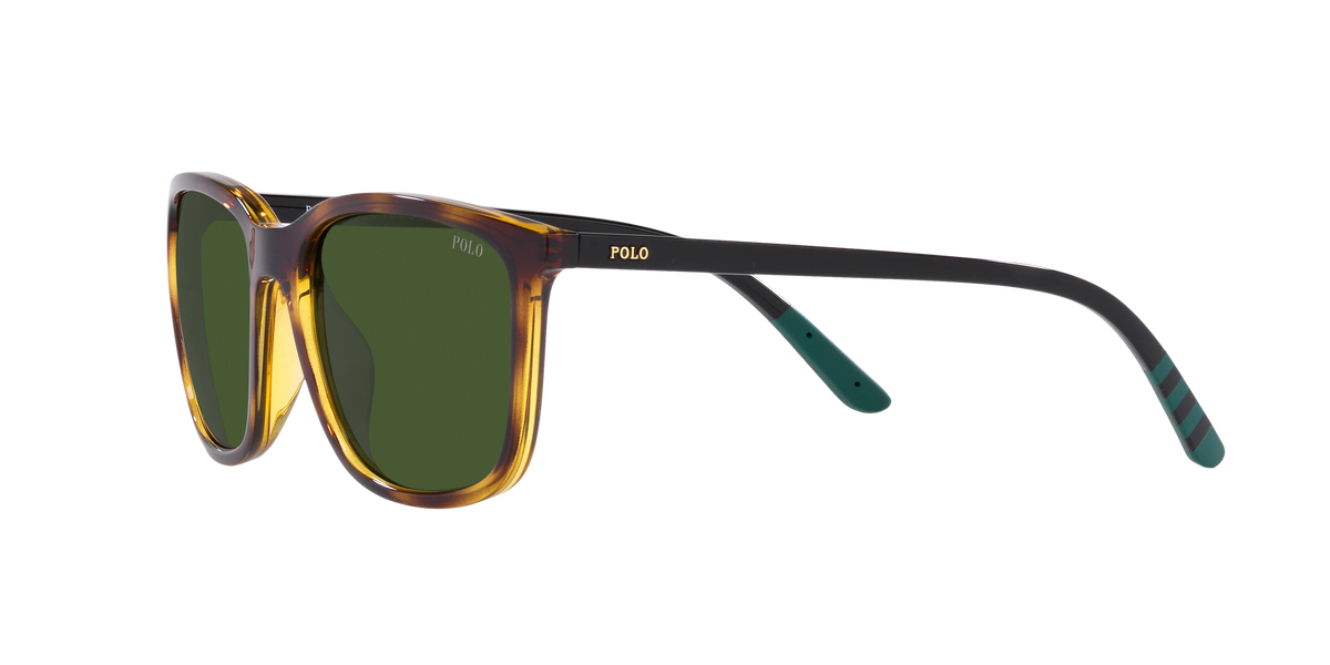 Polo PH4185U 500371