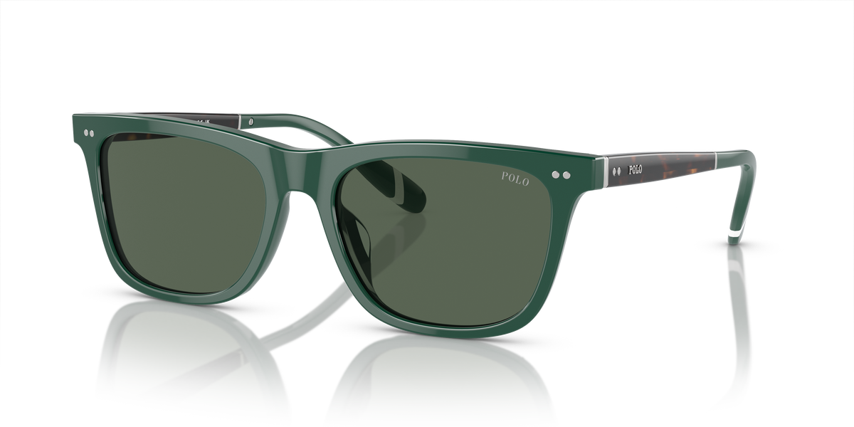 Polo PH4205U 614171
