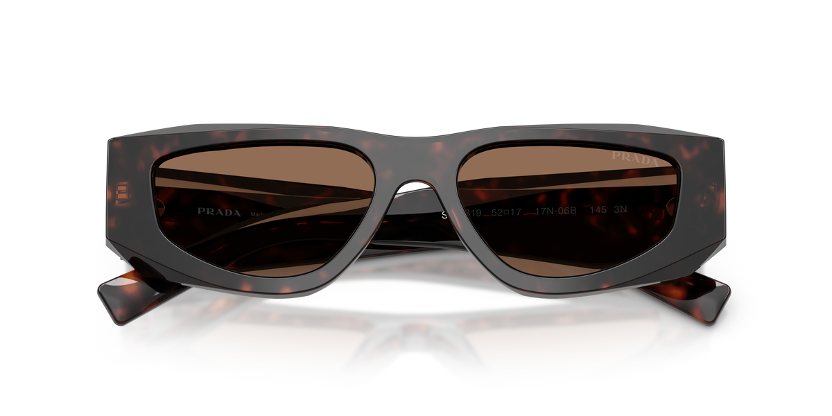 Prada PR B19S 17N06B