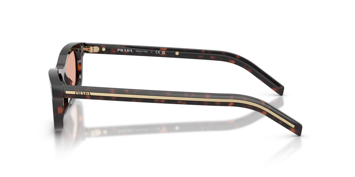Prada PR D05S 17N50W