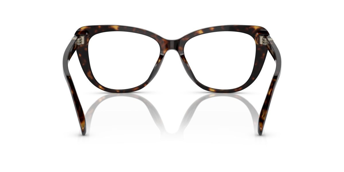 Ralph Lauren RL6232U 5003