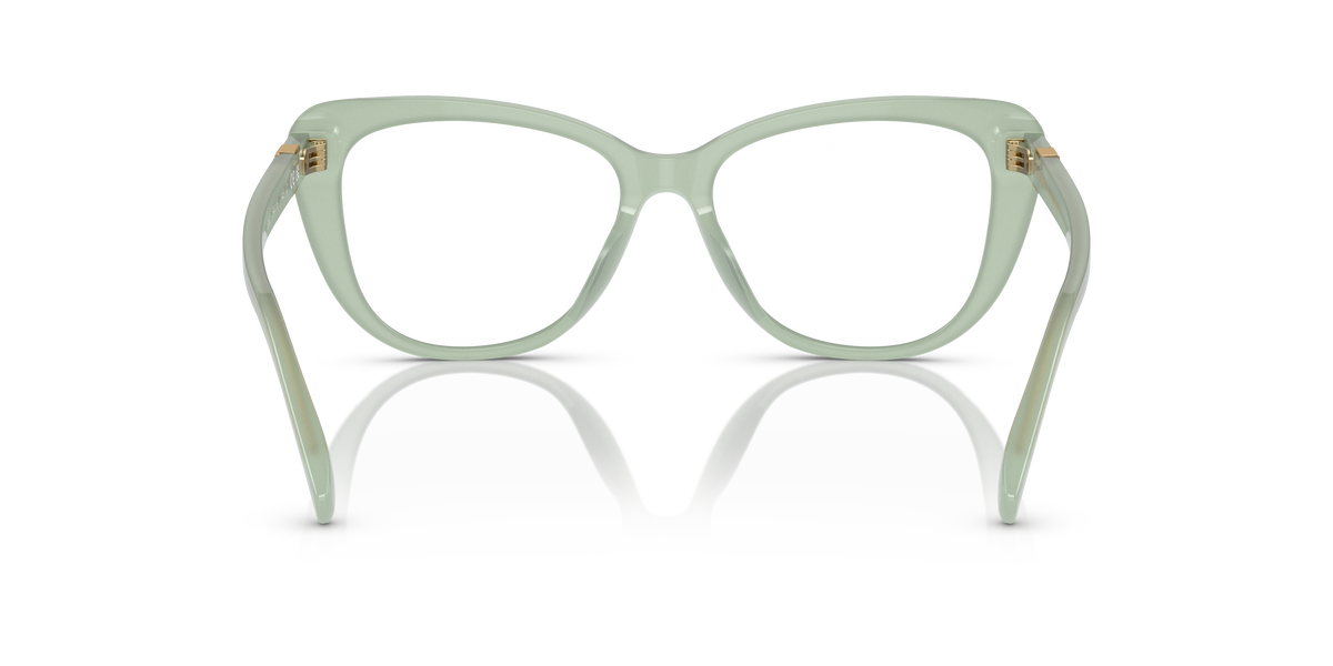 Ralph Lauren RL6232U 6082