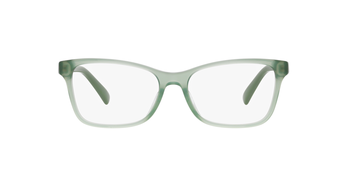 Ralph Lauren RL6233U 6049