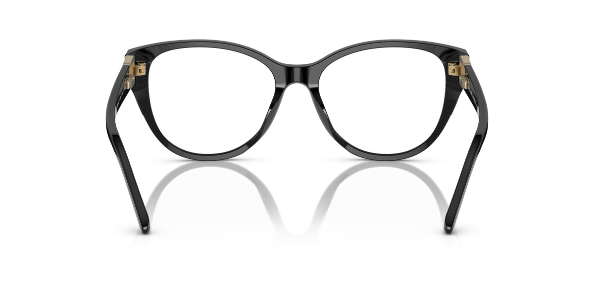 Ralph Lauren RL6234BU 5001