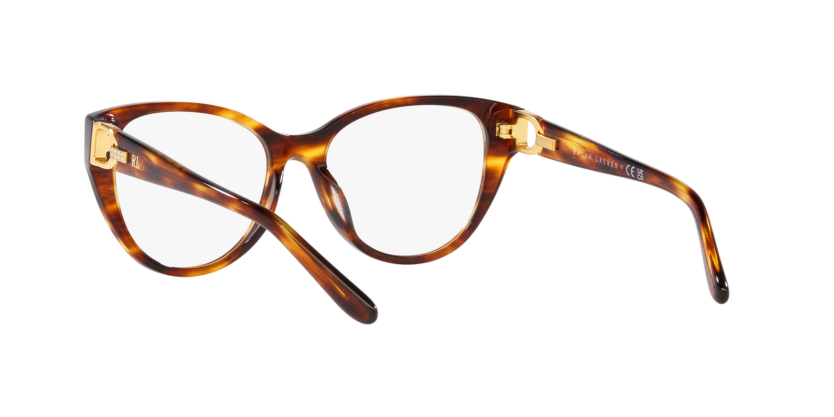 Ralph Lauren RL6234BU 5007