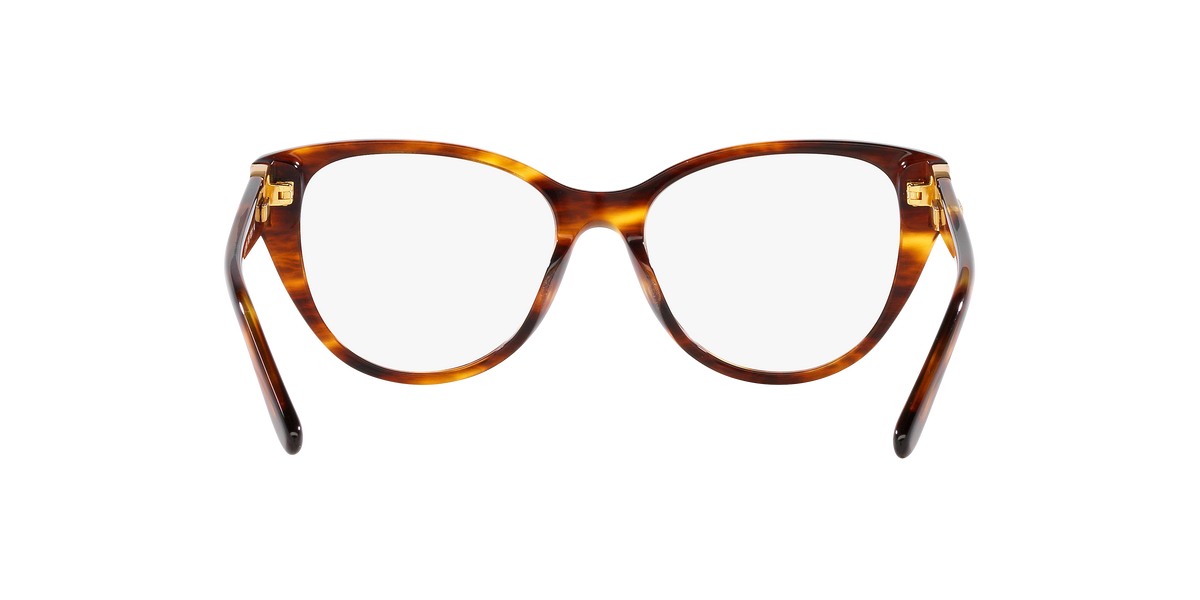 Ralph Lauren RL6234BU 5007