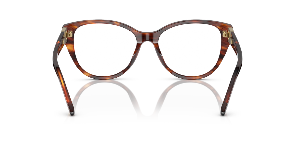 Ralph Lauren RL6234BU 5007