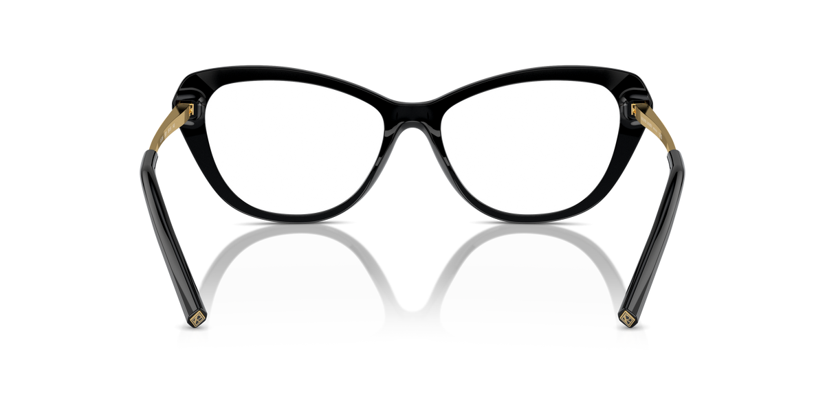 Ralph Lauren RL6245 5001