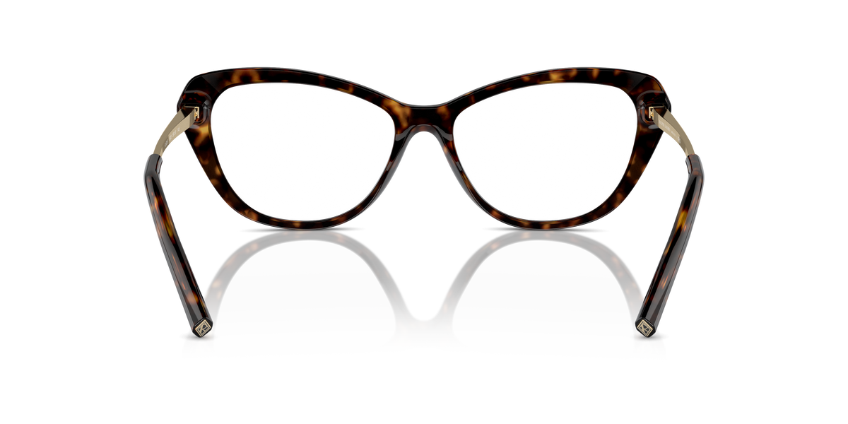 Ralph Lauren RL6245 5003