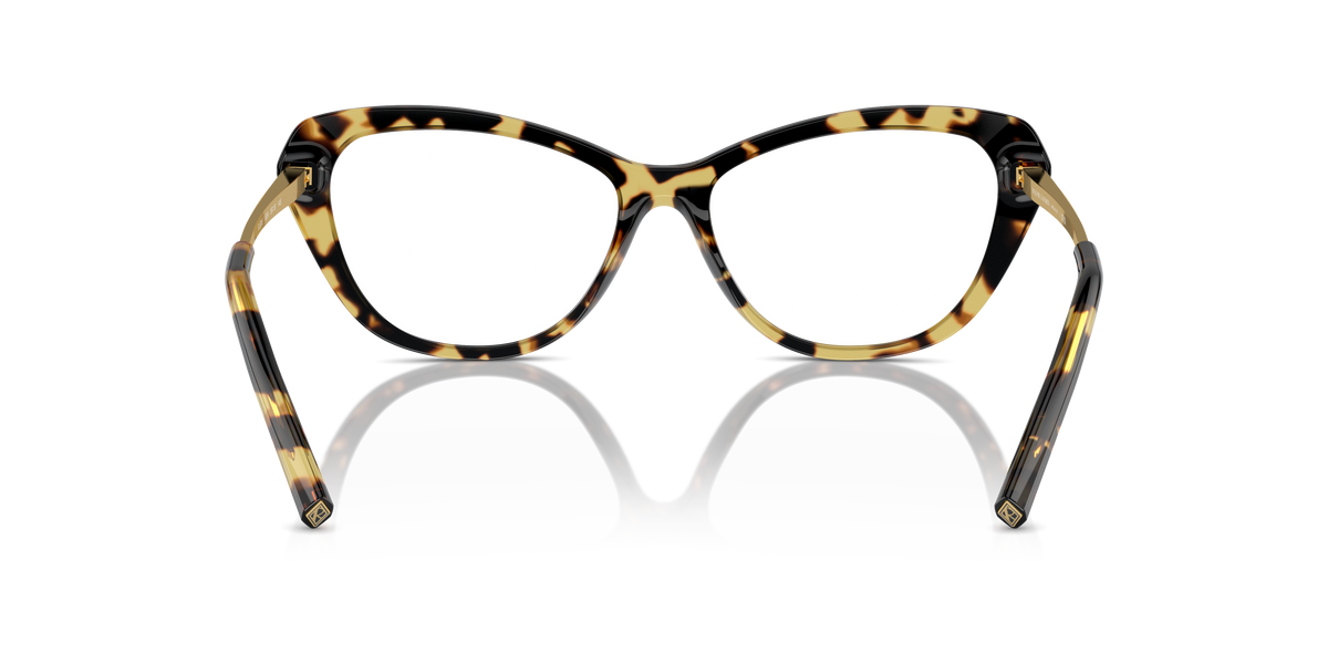 Ralph Lauren RL6245 5004