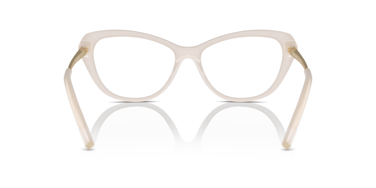 Ralph Lauren RL6245 6182
