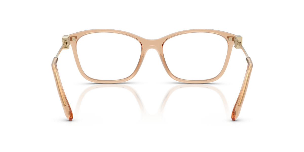 Ralph Lauren RL6247U 6205