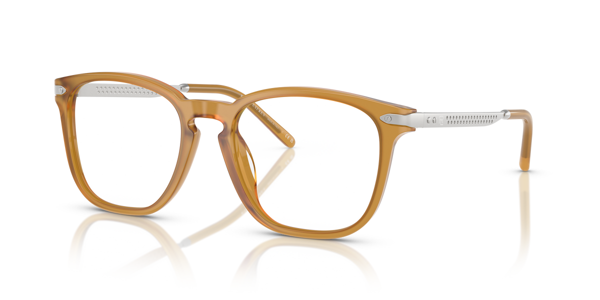 Ralph Lauren RL6248U 5275