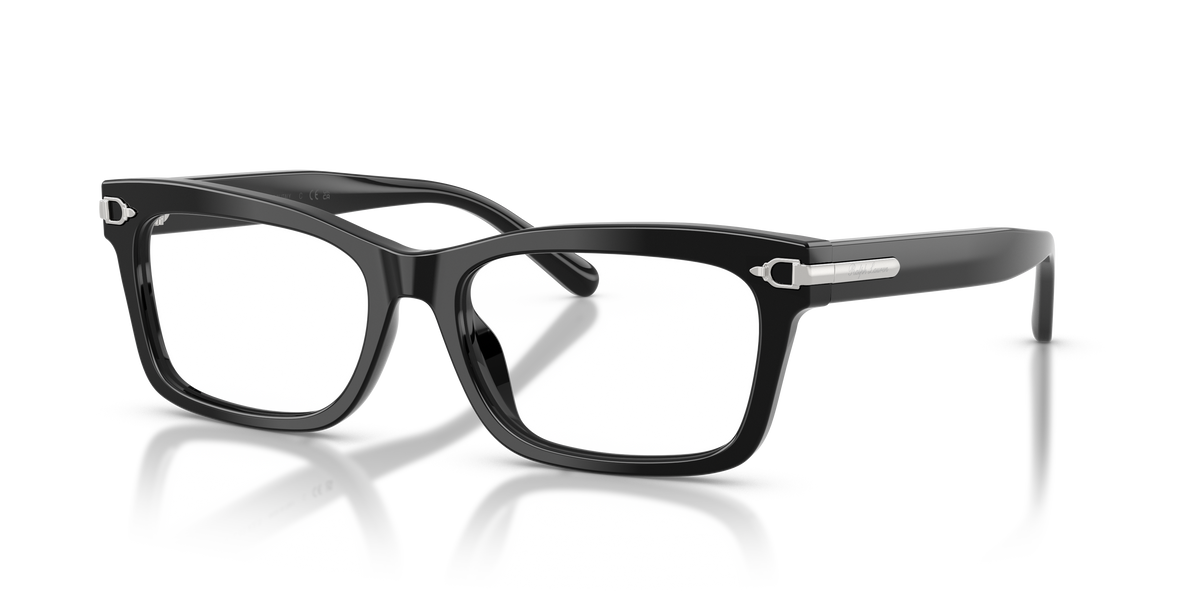 Ralph Lauren RL6255U 5001
