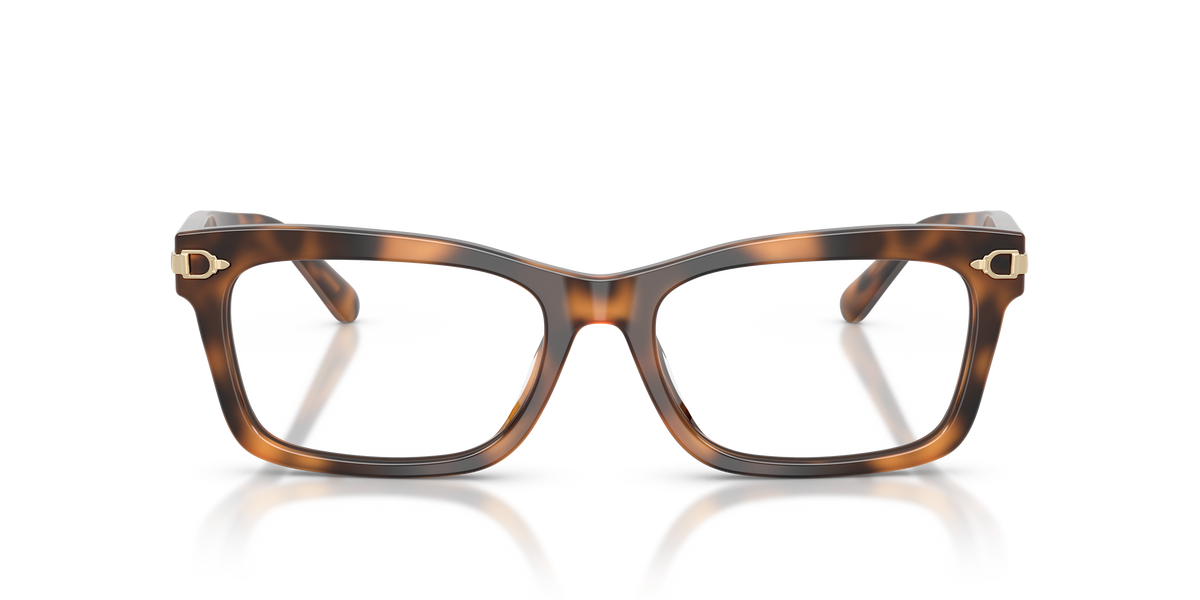 Ralph Lauren RL6255U 6089
