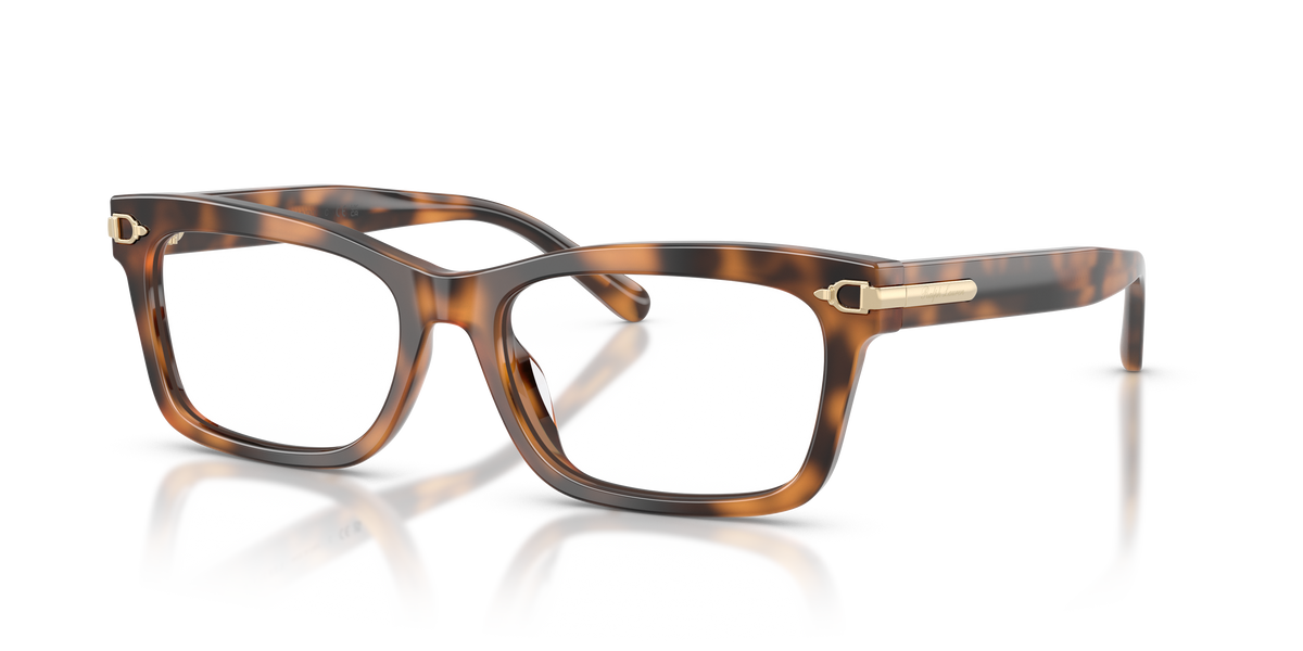 Ralph Lauren RL6255U 6089