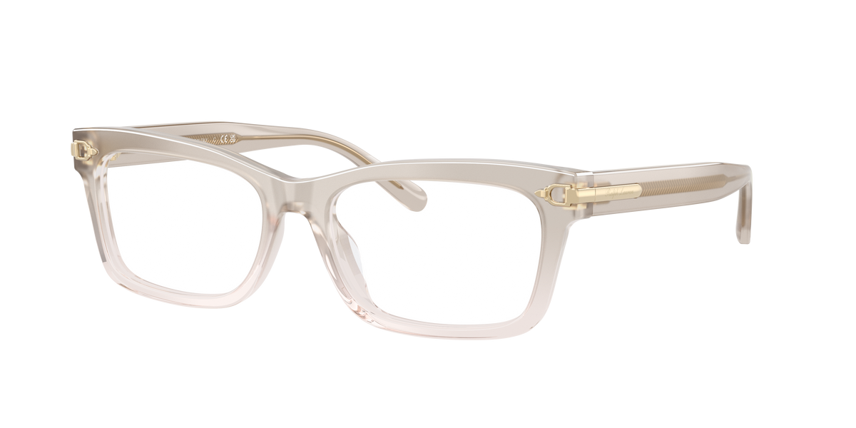 Ralph Lauren RL6255U 6112