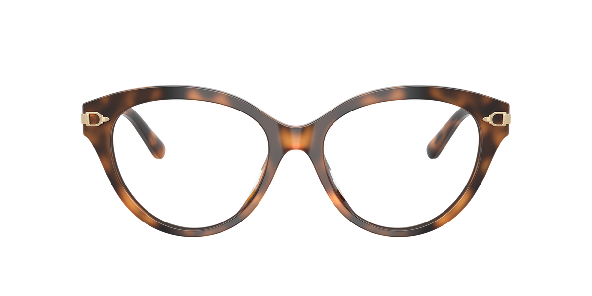 Ralph Lauren RL6256U 6089