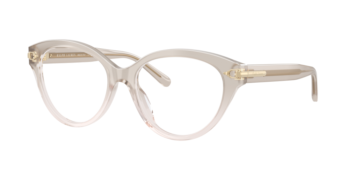 Ralph Lauren RL6256U 6112