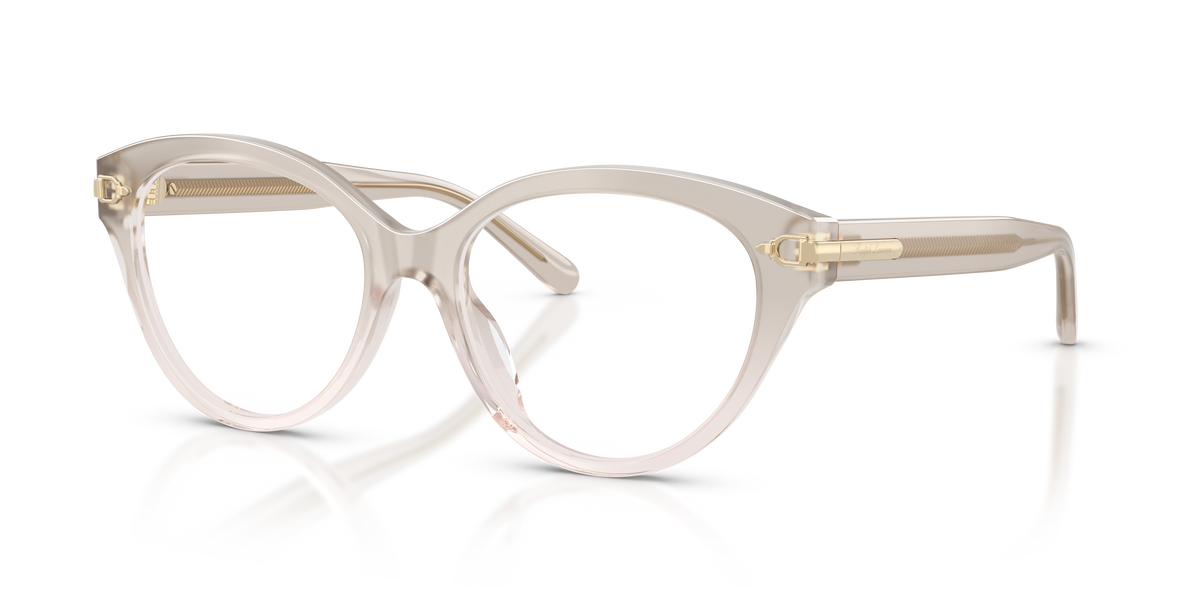 Ralph Lauren RL6256U 6112