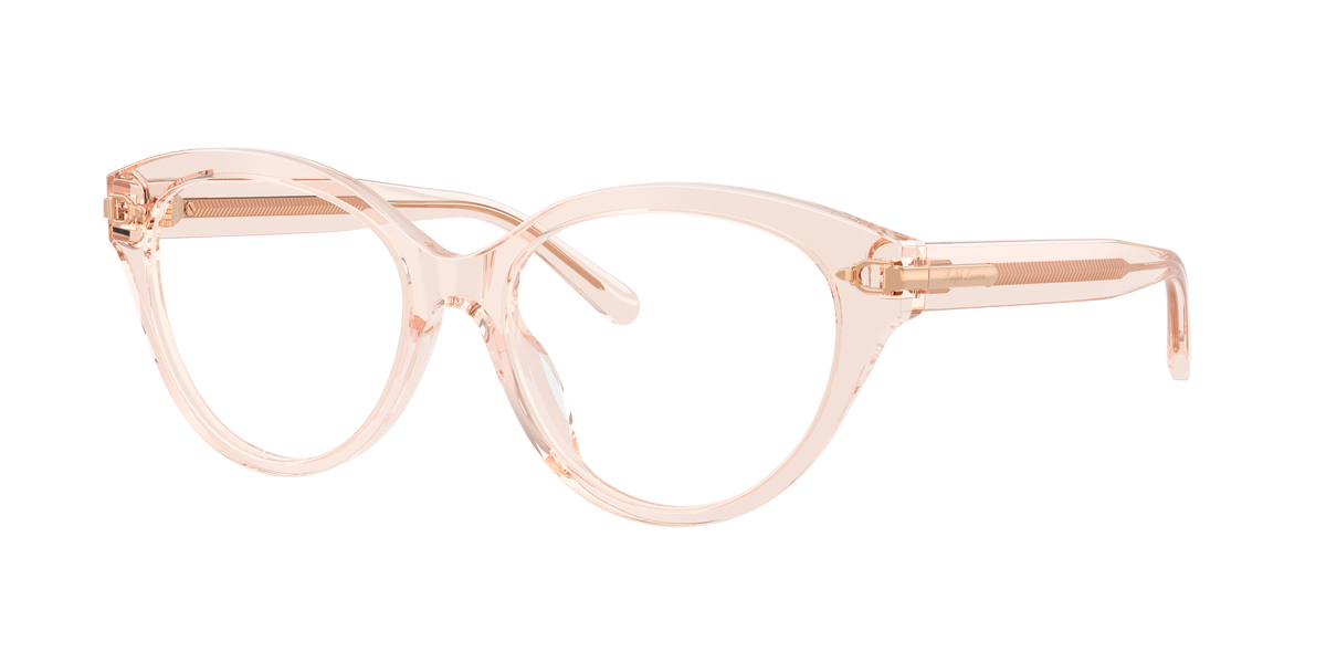 Ralph Lauren RL6256U 6305
