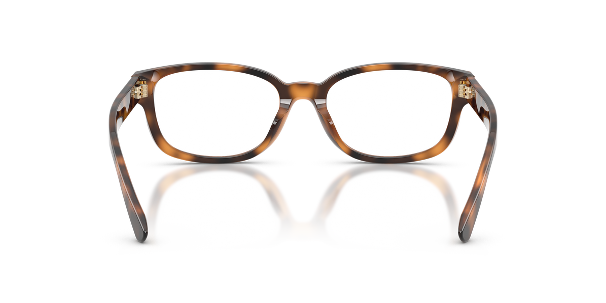 Ralph Lauren RL6261U 6089