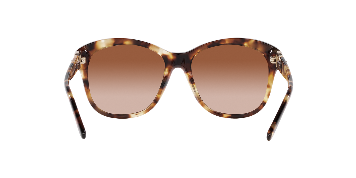Ralph Lauren RL8190Q 605613