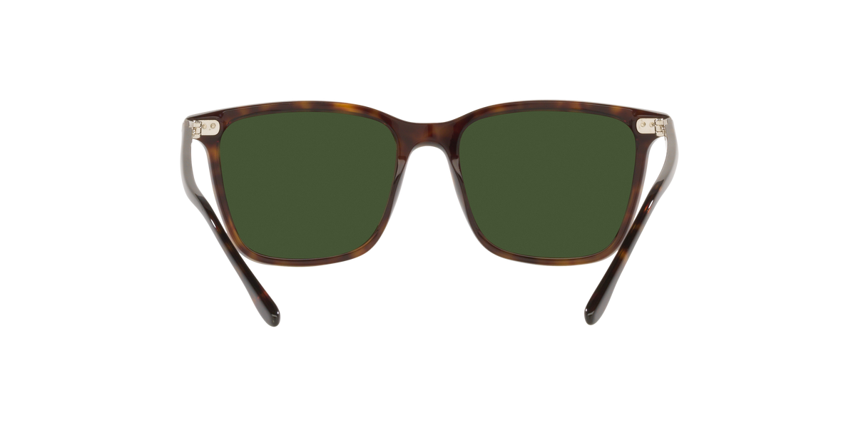 Ralph Lauren RL8199 500371