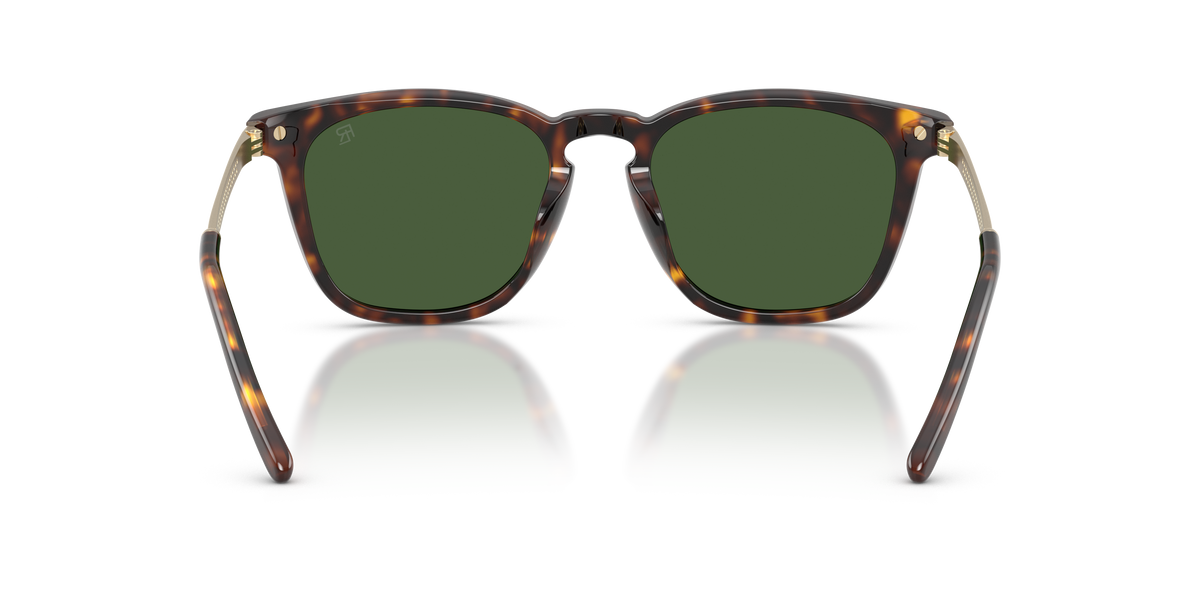 Ralph Lauren RL8233U 500371