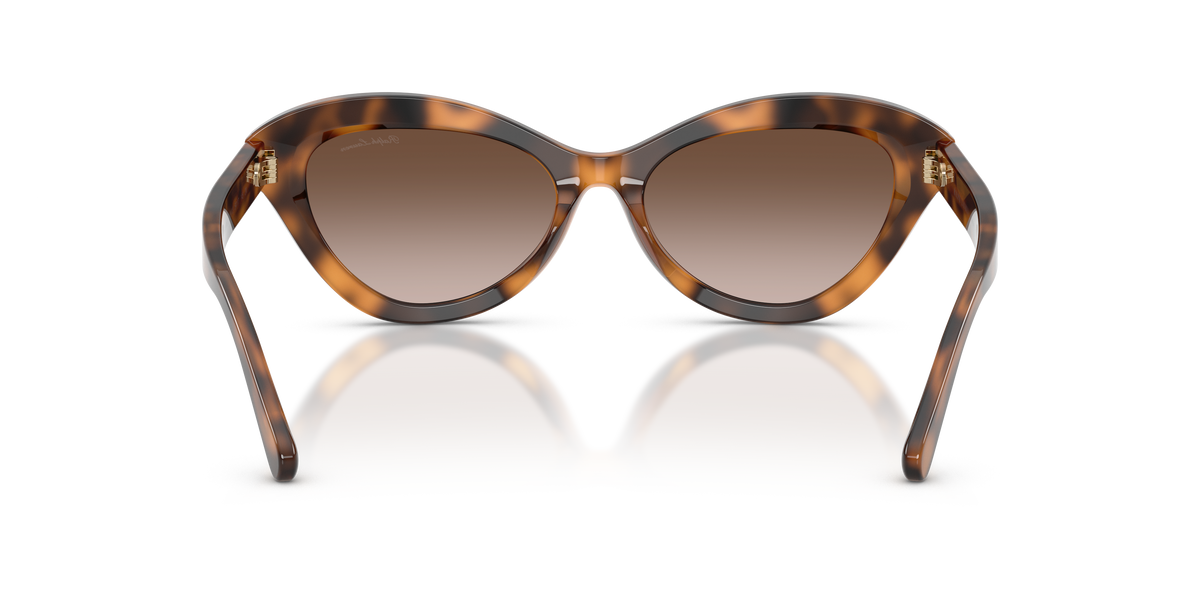 Ralph Lauren RL8236U 608913