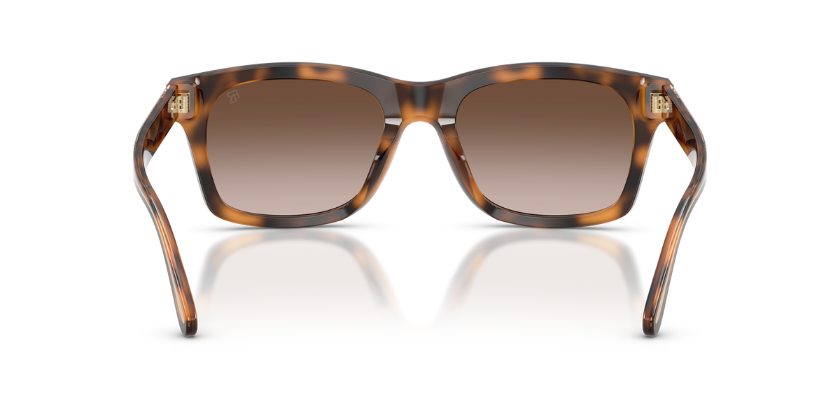 Ralph Lauren RL8237U 608913