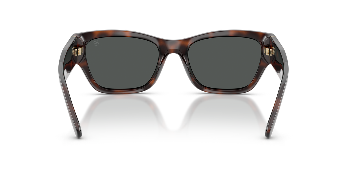 Ralph Lauren RL8240U 624187
