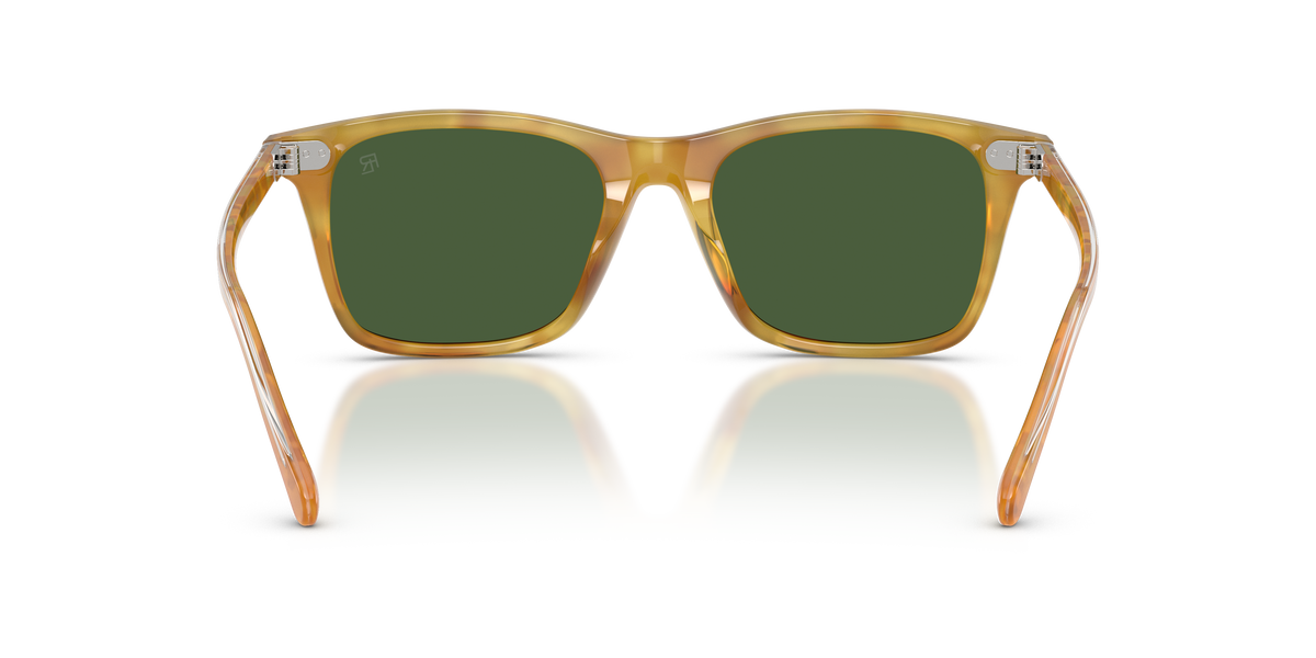 Ralph Lauren RL8242U 618571