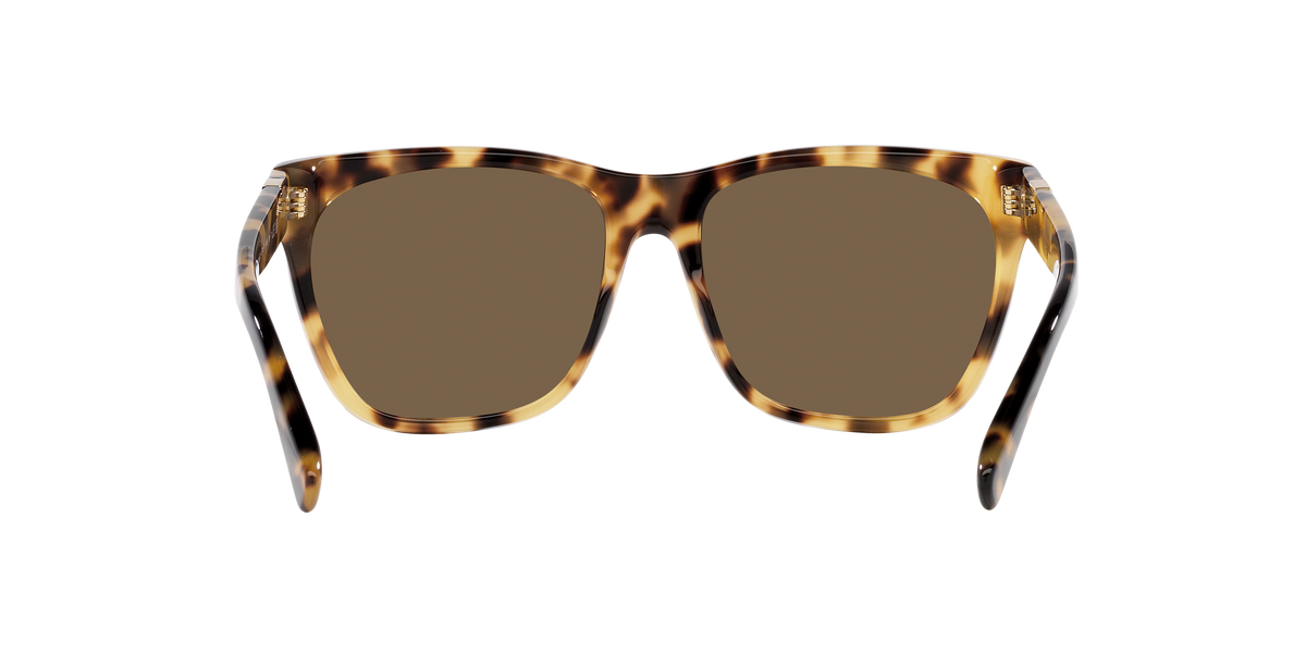 Ralph Lauren The Ricky Ii RL8212 500473