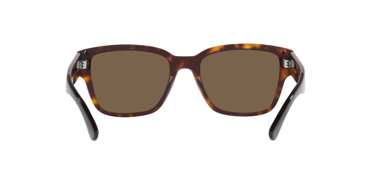 Ralph Lauren The Rl 50 RL8205 500373