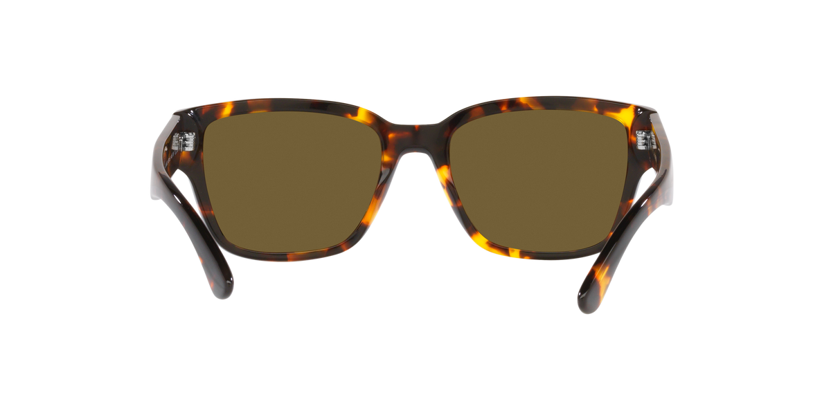 Ralph Lauren The Rl 50 RL8205 513480