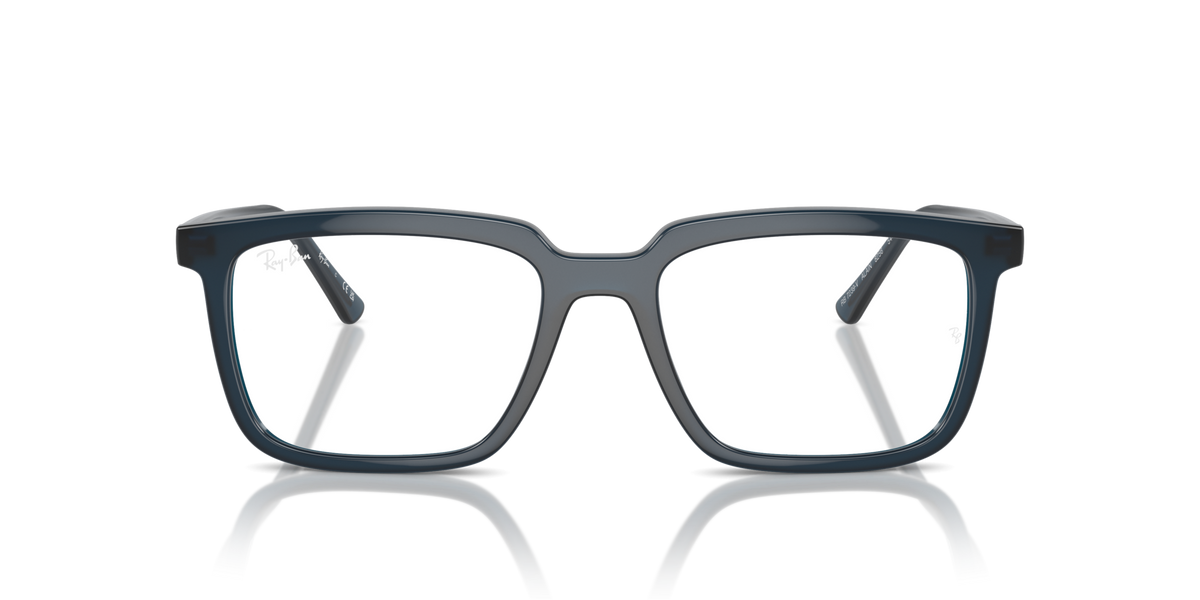 Ray-Ban Alain RX7239 8256