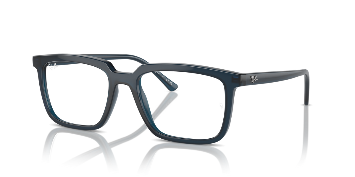 Ray-Ban Alain RX7239 8256