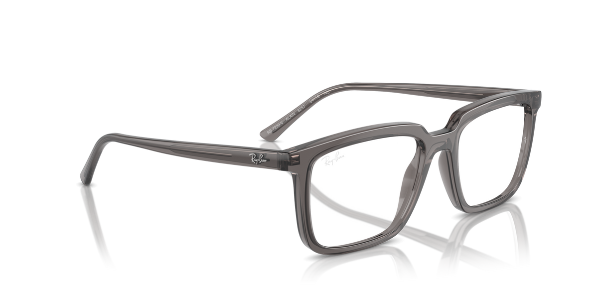 Ray-Ban Alain RX7239 8257