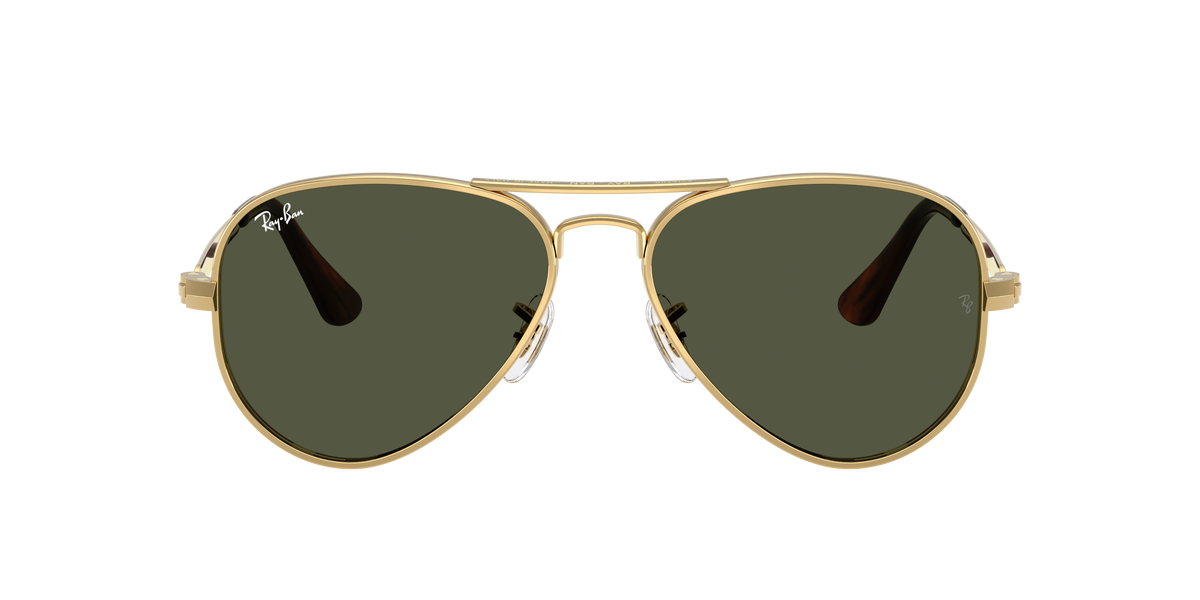 Ray-Ban Aviator Max RB3925 001/31