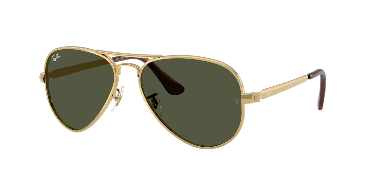 Ray-Ban Aviator Max RB3925 001/31
