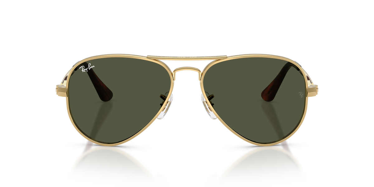 Ray-Ban Aviator Max RB3925 001/31